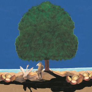 DAS MÄRCHEN VON ZWERG NASE